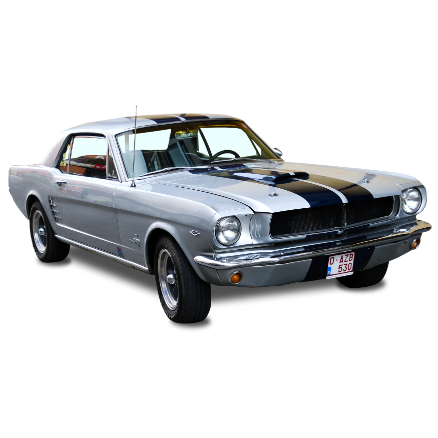 Mustang silver black stripes